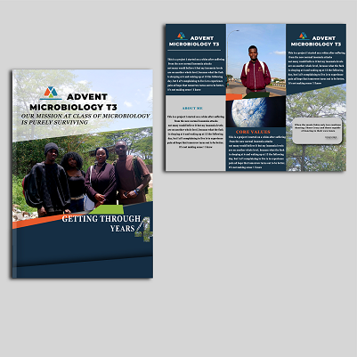 Brochure Design Sample